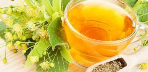 plants to increase power
