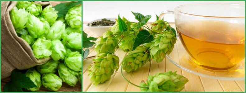 brewing hop cones for strength after 50